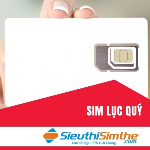 Sim Lục Qúy