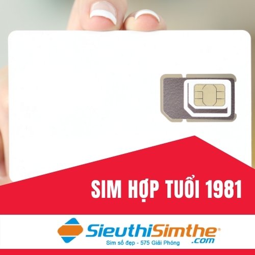 Sim phong thủy hợp tuổi 1981 Sim phong thủy hợp tuổi 1981