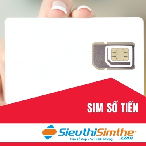 Sim Số Tiến
